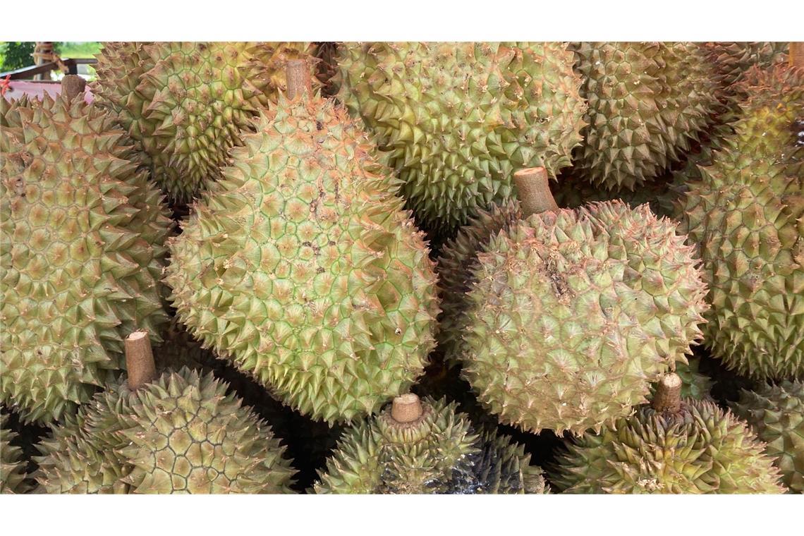 Frucht sorgt für Feuerwehreinsätze Die Durian-Frucht sorgte für Einsätze der Feuerwehr in Wiesbaden.