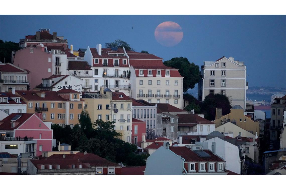Beben erschüttert Portugal - "viel Angst", aber keine Opfer Die Erdstöße waren allem in der Hauptstadt Lissabon deutlich zu spüren. (Archivbild)