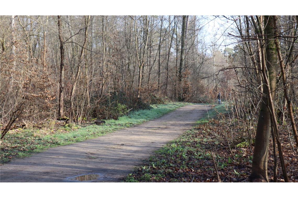 Die Ermittler haben erste Details nach dem Fund einer toten Frau in einem Wald bei Mannheim bekanntgegeben.