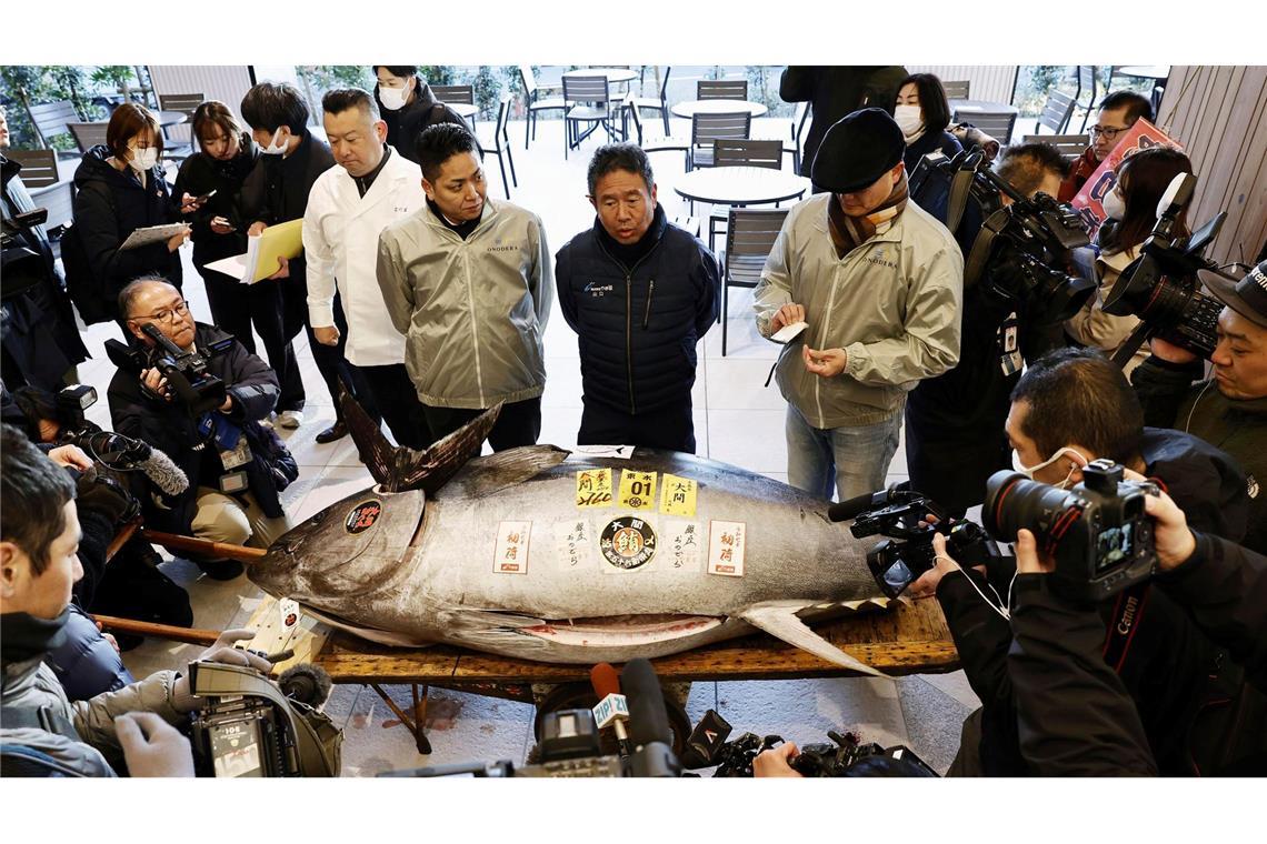 Erste Thunfisch-Auktion in Japan 2025 erzielt hohen Preis Die erste Auktion eines Thunfisches im Neuen Jahr gilt vielen in Japan als Gradmesser für Glück und Wohlstand.