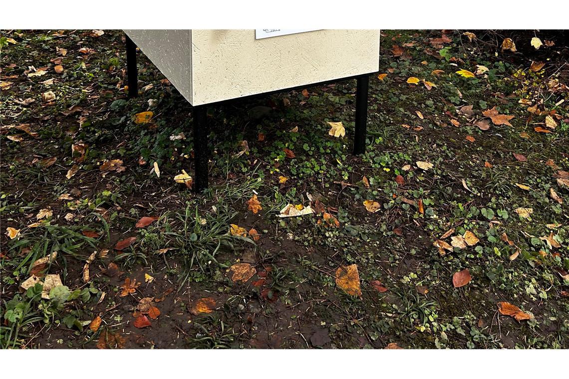 Die erste "Tierklappe" der Schweiz - das Konzept ist nicht unumstritten.