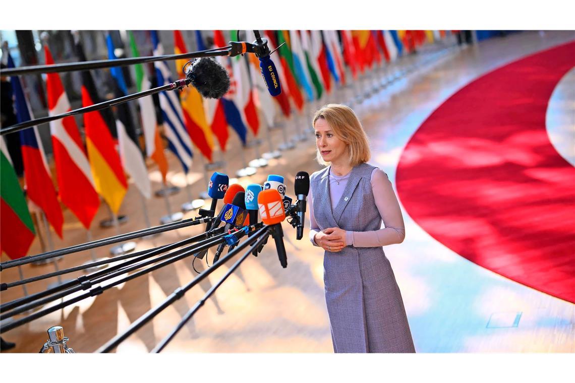 Europa setzt auf die Methode Stachelschwein Die EU-Außenbeauftragte Kaja Kallas fordert wesentlich mehr Unterstützung für die Ukraine – doch viele europäische Staaten sträuben sich.