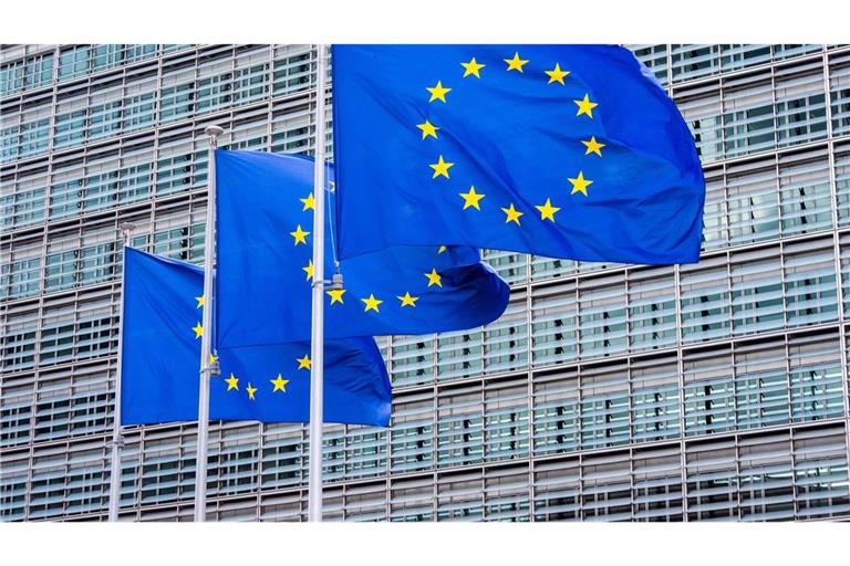 Die EU-Kommission verlang von vier großen Online-Plattformen Auskünfte. (Symbolbild)