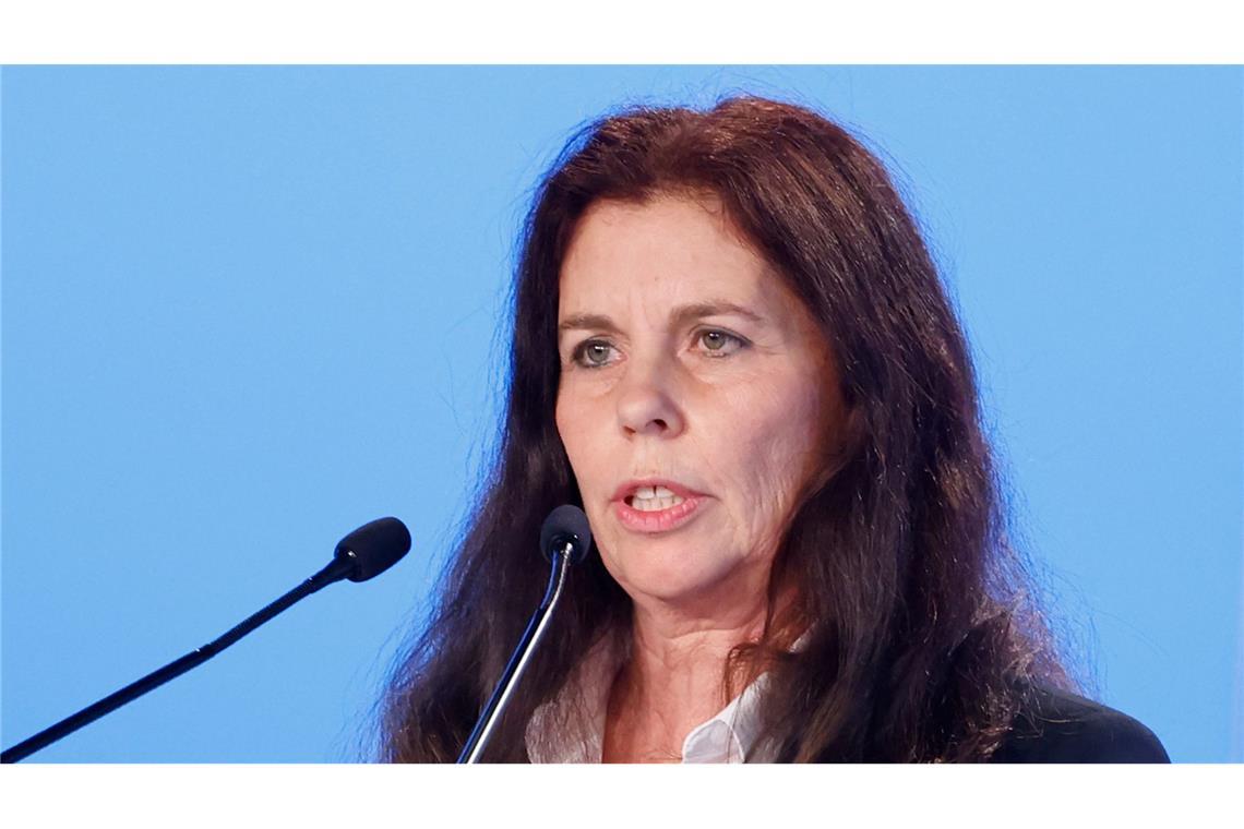 Die Europaabgeordnete Arndt hatte schwere Vorwürfe gegen die AfD-Spitze in Niedersachsen erhoben. (Archivbild)