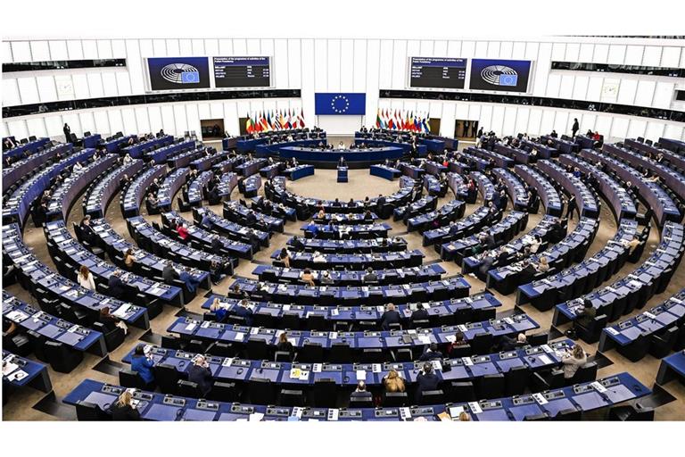 Die Europaabgeordneten in Straßburg haben sich heftig über die Finanzierung der Lobbyarbeit von Nichtregierungsorganisationen durch die EU-Kommission gestritten.