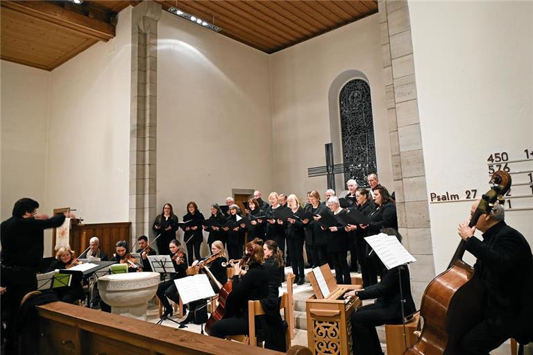 Die evangelische Kirchenmusik und die Musikschule Schwäbischer Wald/Limpurger Land kooperierten für den Auftritt. Foto: Elisabeth Klaper