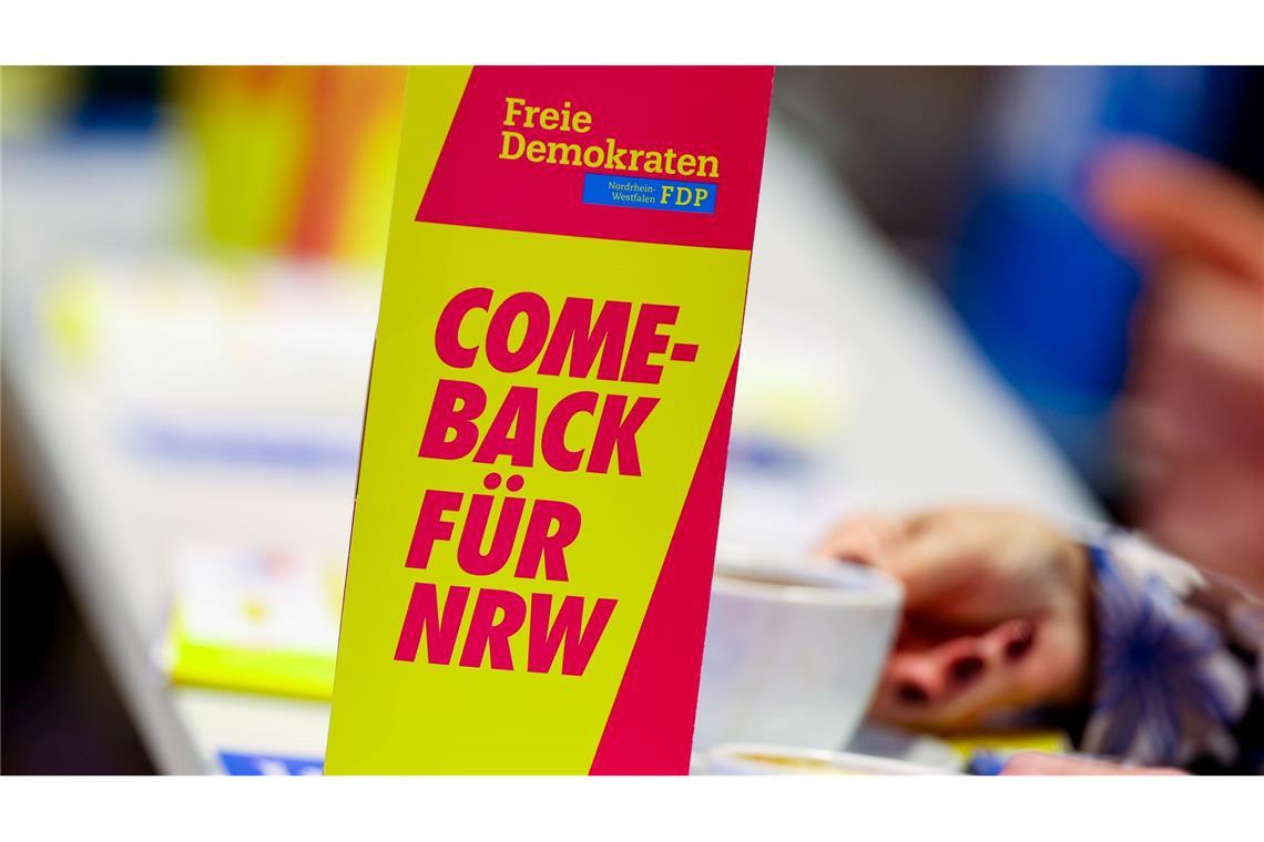Höne startet mit Rückenwind in Kampf um FDP-Bundesvorsitz