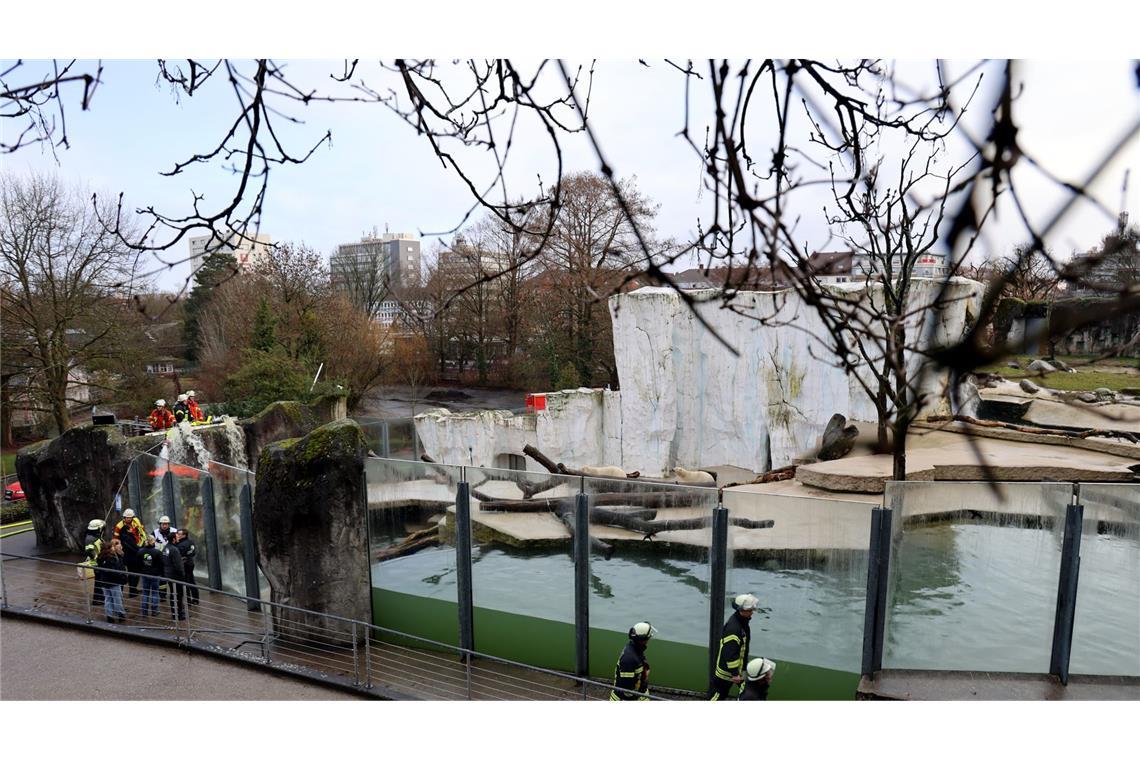Die Feuerwehr im Einsatz im Karlsruher Zoo.