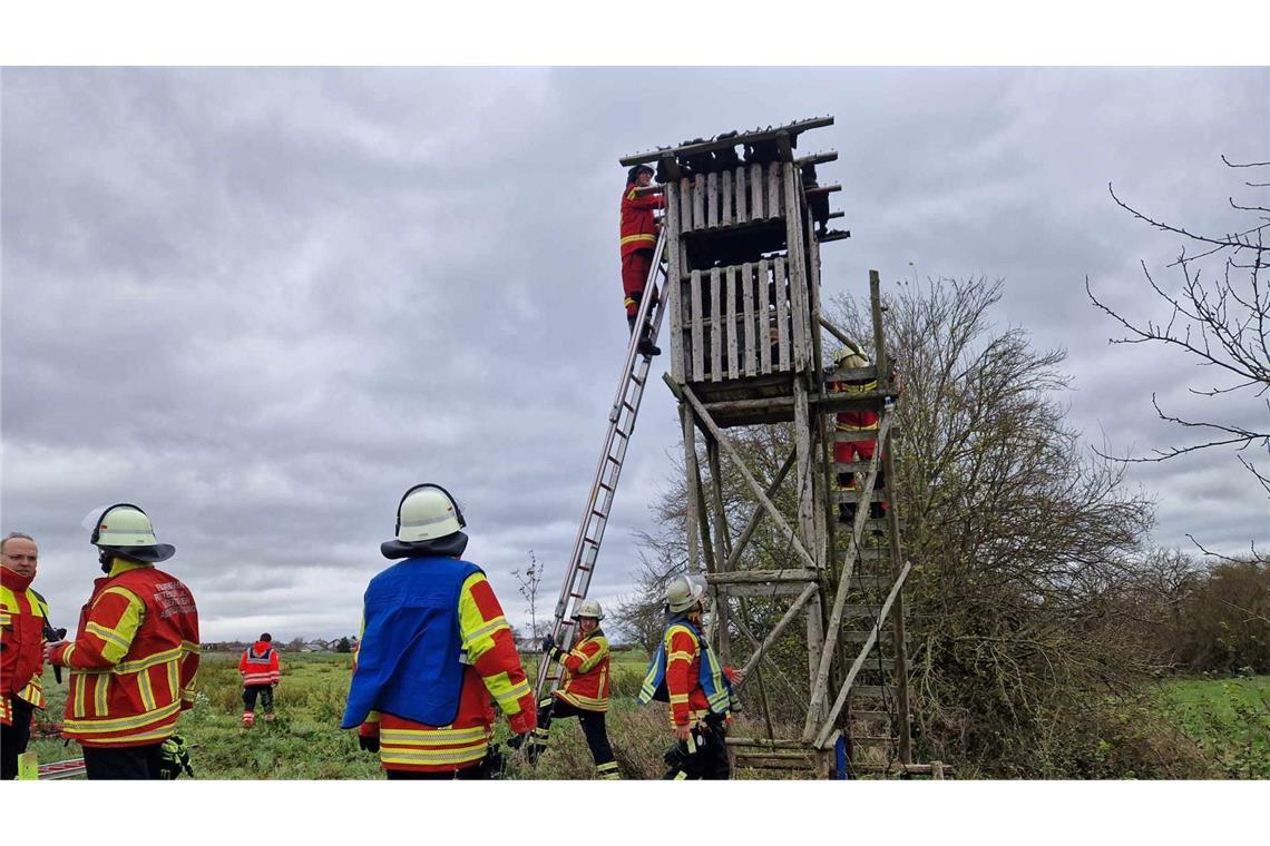 Mann von Hochsitzdach gerettet Die Feuerwehr musste den Mann von dem Hochsitzdach retten.