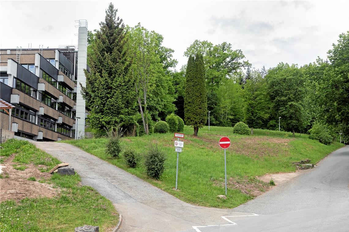 Ideen für vier attraktive Pausenplätze Die Fläche rechts neben dem Gymnasium könnte ganz neu gestaltet werden. Der Vorschlag des Büroteams Roosplan ist ein Chillplateau, auf dem die Schüler sich in den Pausen entspannen können – beispielsweise auf drehbaren Himmelsliegen. Fotos: J. Fiedler