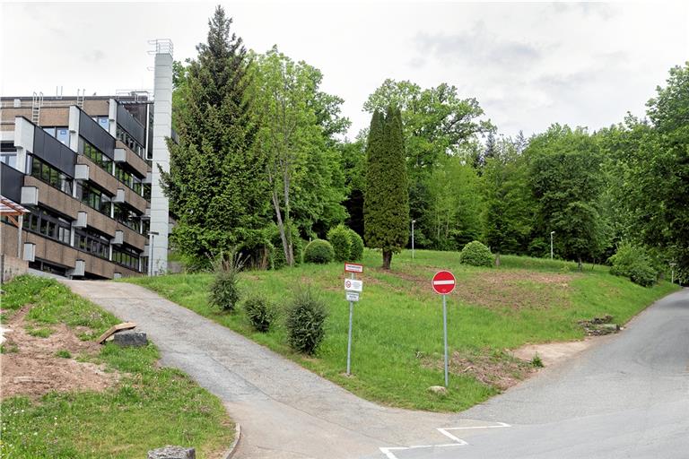 Die Fläche rechts neben dem Gymnasium könnte ganz neu gestaltet werden. Der Vorschlag des Büroteams Roosplan ist ein Chillplateau, auf dem die Schüler sich in den Pausen entspannen können – beispielsweise auf drehbaren Himmelsliegen. Fotos: J. Fiedler