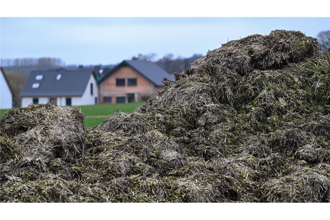 Die Flucht endete in einem Misthaufen (Symbolbild).