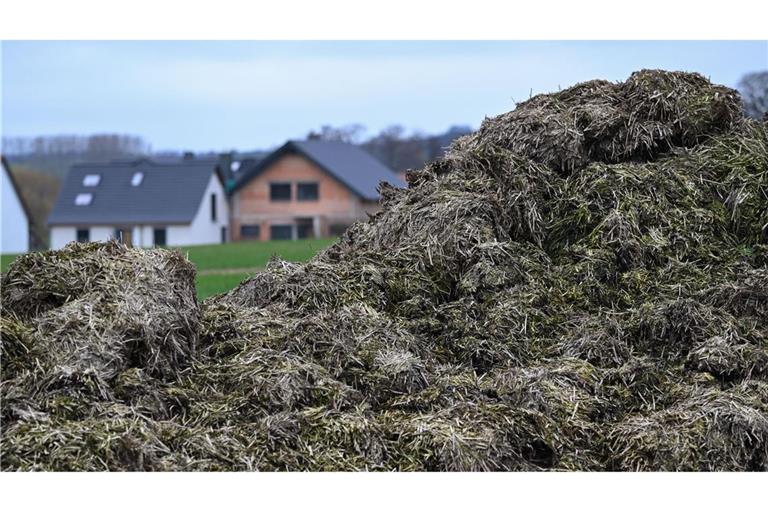 Die Flucht endete in einem Misthaufen (Symbolbild).