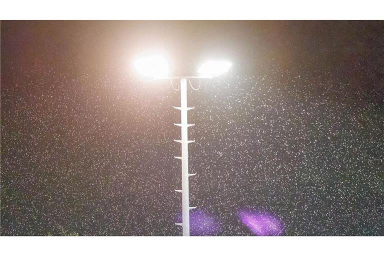 Die Flutlichtpartie im Bezirkspokal war kein Leckerbissen.
