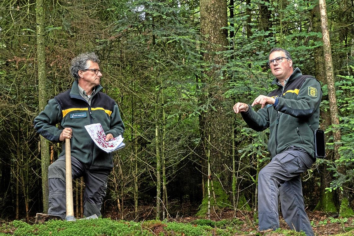 Wald im Krisenmodus Die Förster Dieter Seitz und Andreas Schlär (von links) hoffen, dass gemischte Bestände eine gewisse Sicherheit bieten. Wichtig ist, dass keine großen Flächen absterben.