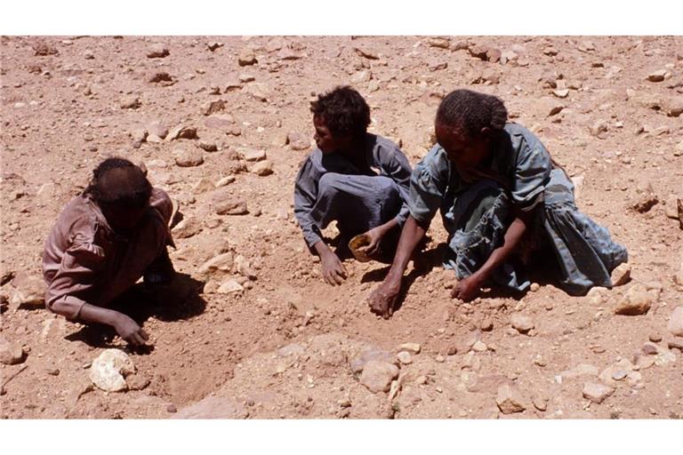 Die Folgen von Wetterextremen wie El Nino bedeuten für Millionen von Menschen in Afrika vor allem eins: Hunger. Noch mehr Hunger. Und Tod (Archivfoto).