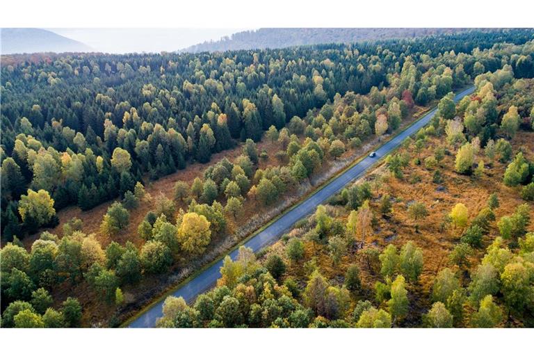 Die Forschenden empfehlen verschiedene Varianten, um das Klima zu schützen. (Symbolbild)