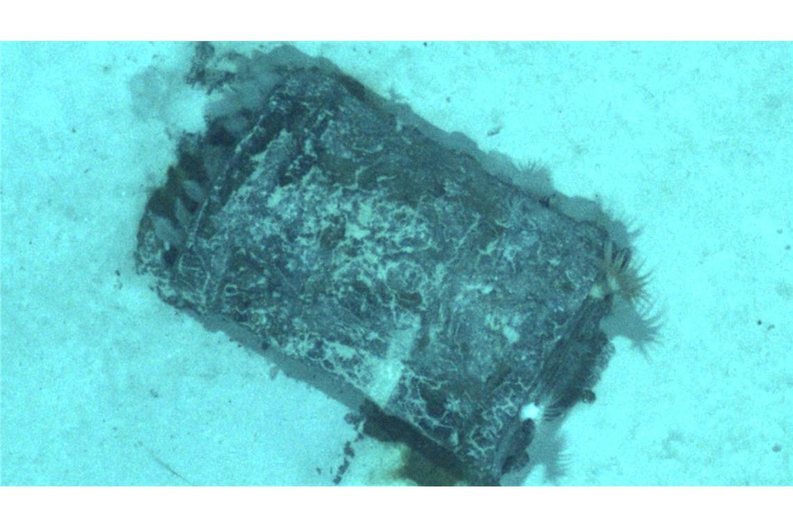 Die Forschenden untersuchten etwa 50 Atommüll-Fässer anhand von Fotos.