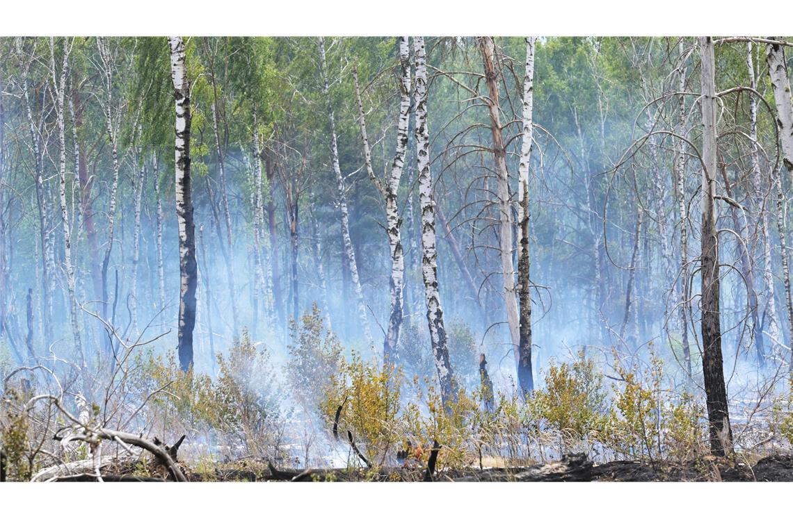 Die Gefahr für Waldbrände im Südwesten nimmt im Mai ab. (Symbolfoto)