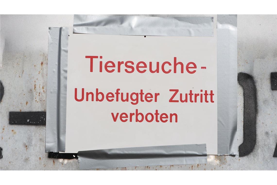Die Geflügelpest versetzt Behörden und Landwirte in Alarmbereitschaft. (Archibbild)
