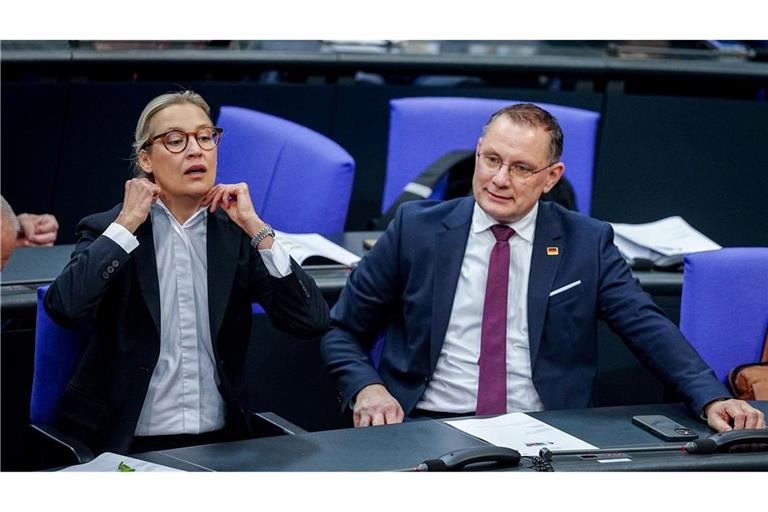 Die Gespräche von Alice Weidel, Co-Fraktionsvorsitzende und Co-Parteichefin der AfD, mit Unternehmern finden nach Angaben ihres Sprechers bislang meist im vertraulichen Rahmen statt.