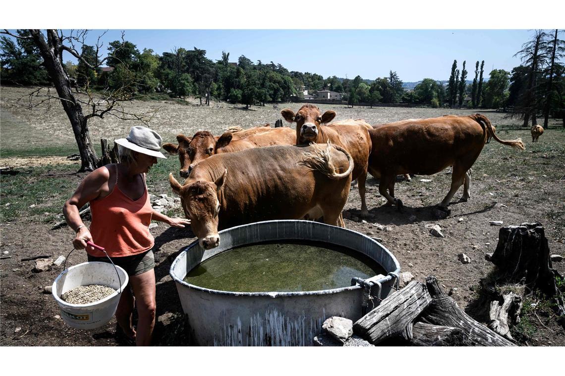 Die große Trockenheit macht in Frankreich insbesondere den Landwirten zu schaffen.