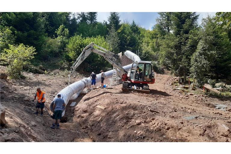 Die großen Rutschen im Calwer Stadtgarten sind 17 und 43 Meter lang.