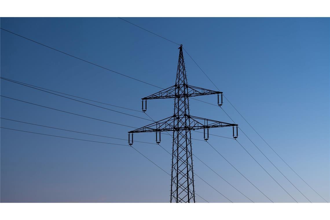 Investitionen, Ökostrom, Soziales – was die Grünen wollen Die Grünen streben eine Entlastung bei Stromkosten an. (Archivbild)
