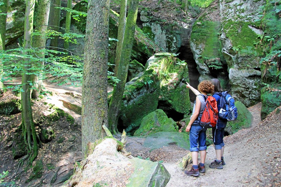 Die Hägelesklinge bei Kaisersbach steht symbolisch für die landschaftlichen Reize des Schwäbischen Waldes, der als Leader-Region wieder in das Rennen um Fördermittel aus dem EU-Programm Leader gegangen ist. Foto: Leader-Regionalmanagement 