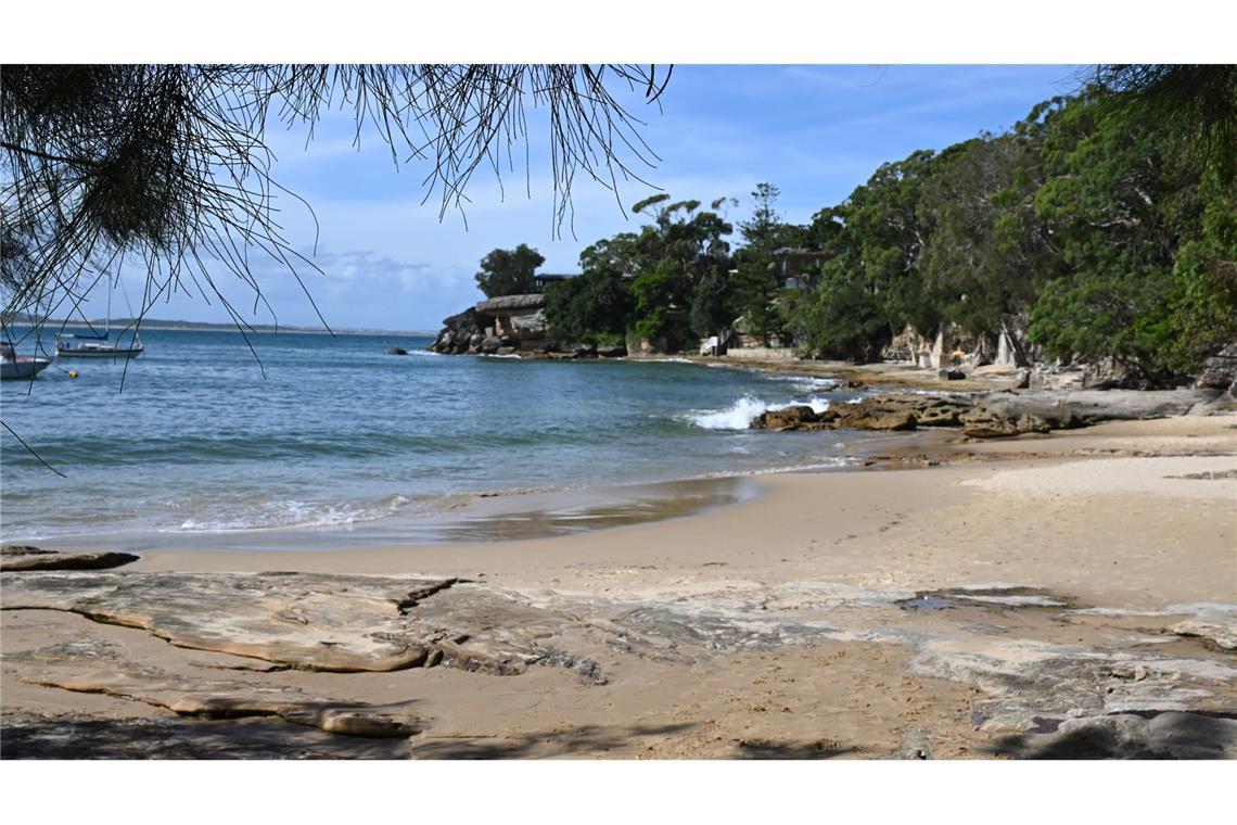 Frau bei Haiangriff nahe Sydney schwer am Bein verletzt Die Haiattacke ereignete sich am Gunyah Beach.