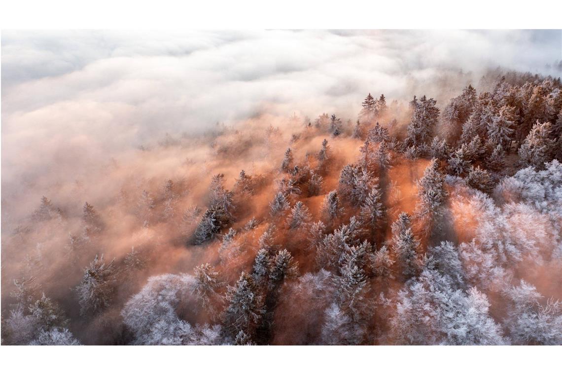 Wie entsteht Nebel? Die Höhenlagen des Taunus rund um den Großen Feldberg ragen am Morgen eines Wintertages aus einem Nebelmeer.