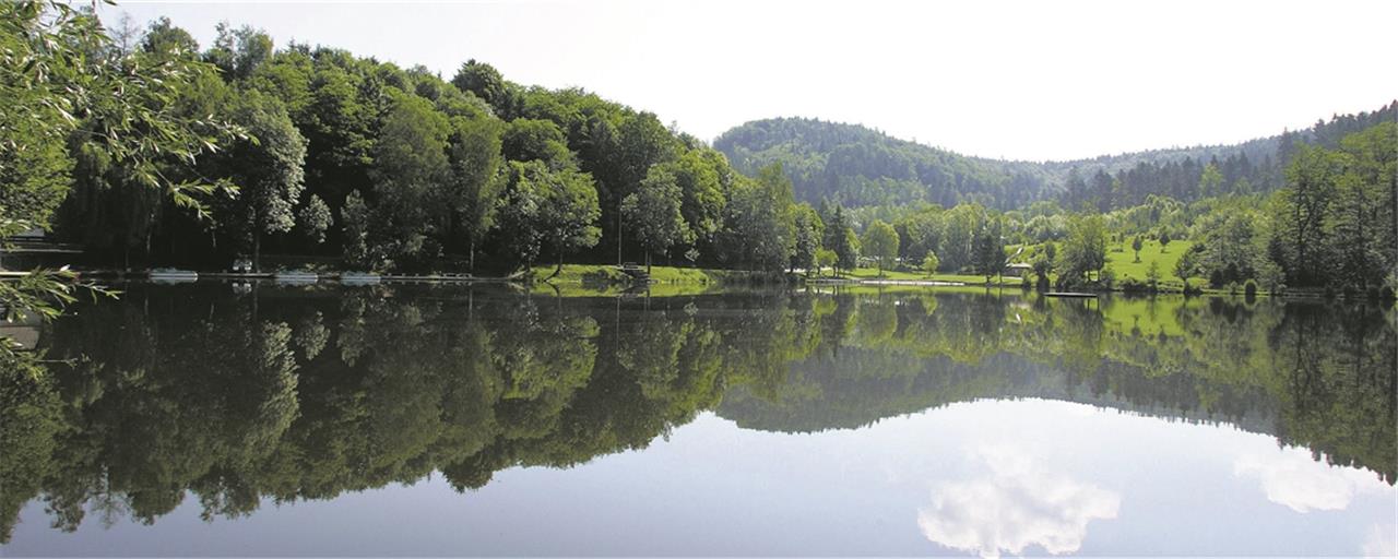 Die idyllische Lage mitten im Wald – der Fornsbacher Waldsee ist auch heute ein beliebtes Ausflugsziel. Foto: MZ-Archiv