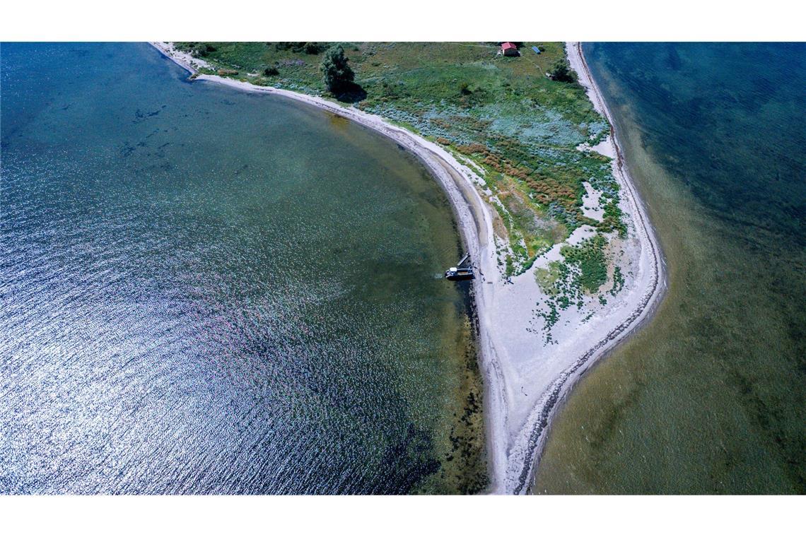Die Insel Walfisch ist mit knapp neun Hektar die kleinste der drei Vogelschutzinseln in der Wismarbucht.