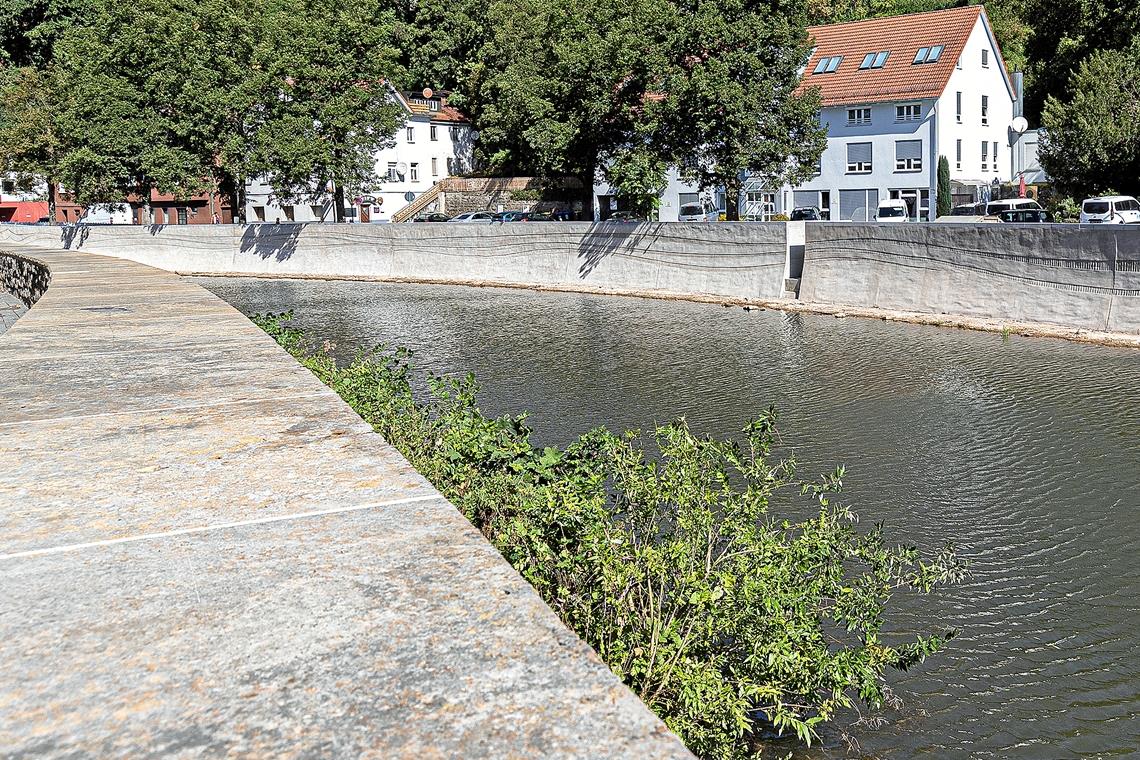 Die jüngste Baumaßnahme zum Schutz der Innenstadt: Die Ufermauer zwischen dem Biegelwehr und der Sulzbacher Brücke. Sie wurde verstärkt und erhöht und mit einem Wellenrelief verziert. Foto: J. Fiedler