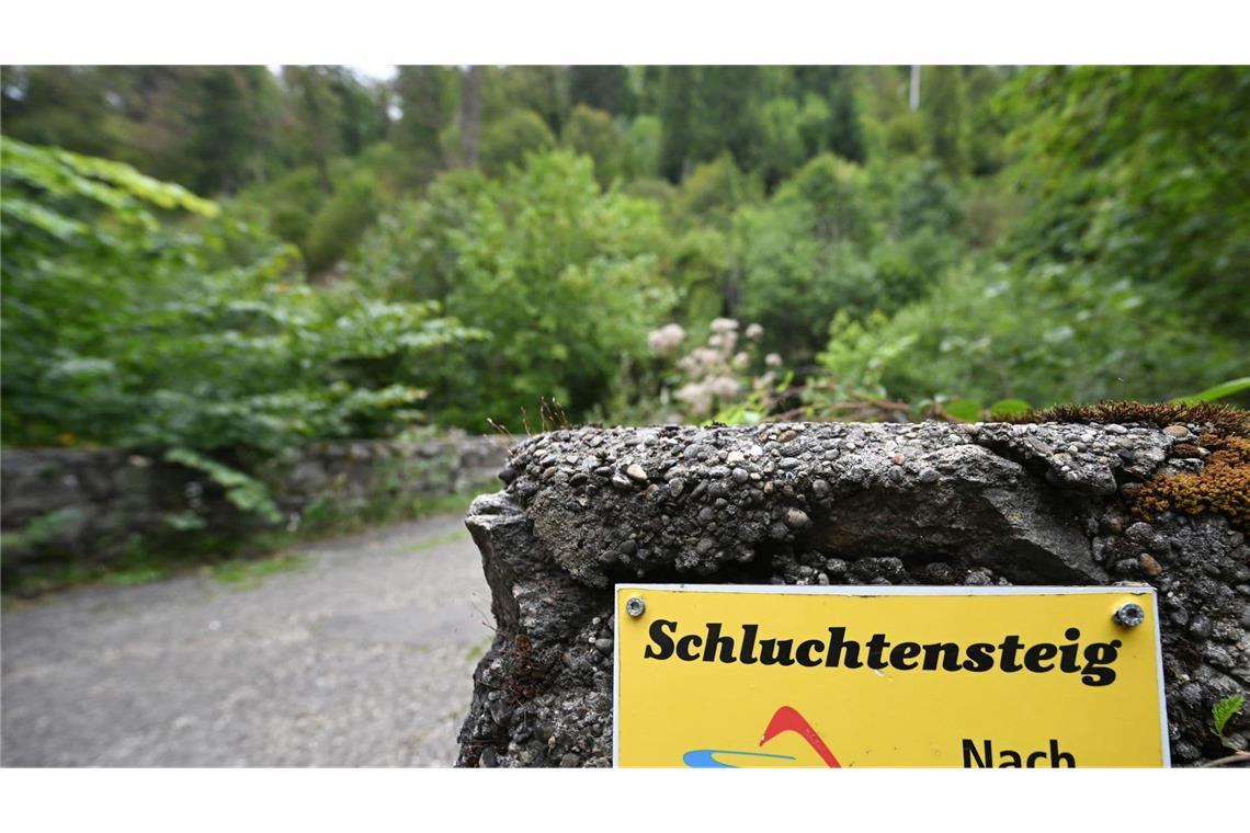 Die junge Frau hat das Ziel ihrer Wanderetappe wie es scheint nie erreicht. (Archivbild)