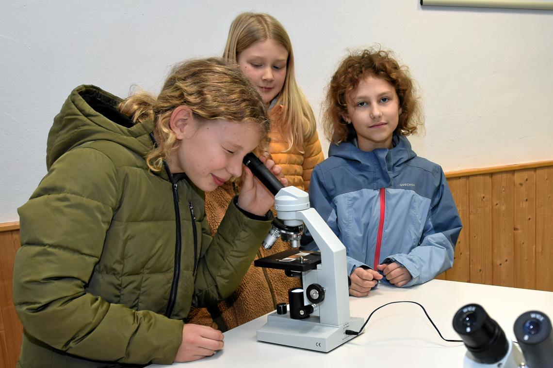 Eine Entdeckungsreise durch die Murrhardter Walterichschule Die jungen Gäste schauen sich ein paar Präparate durchs Mikroskop an. Foto: Elisabeth Klaper