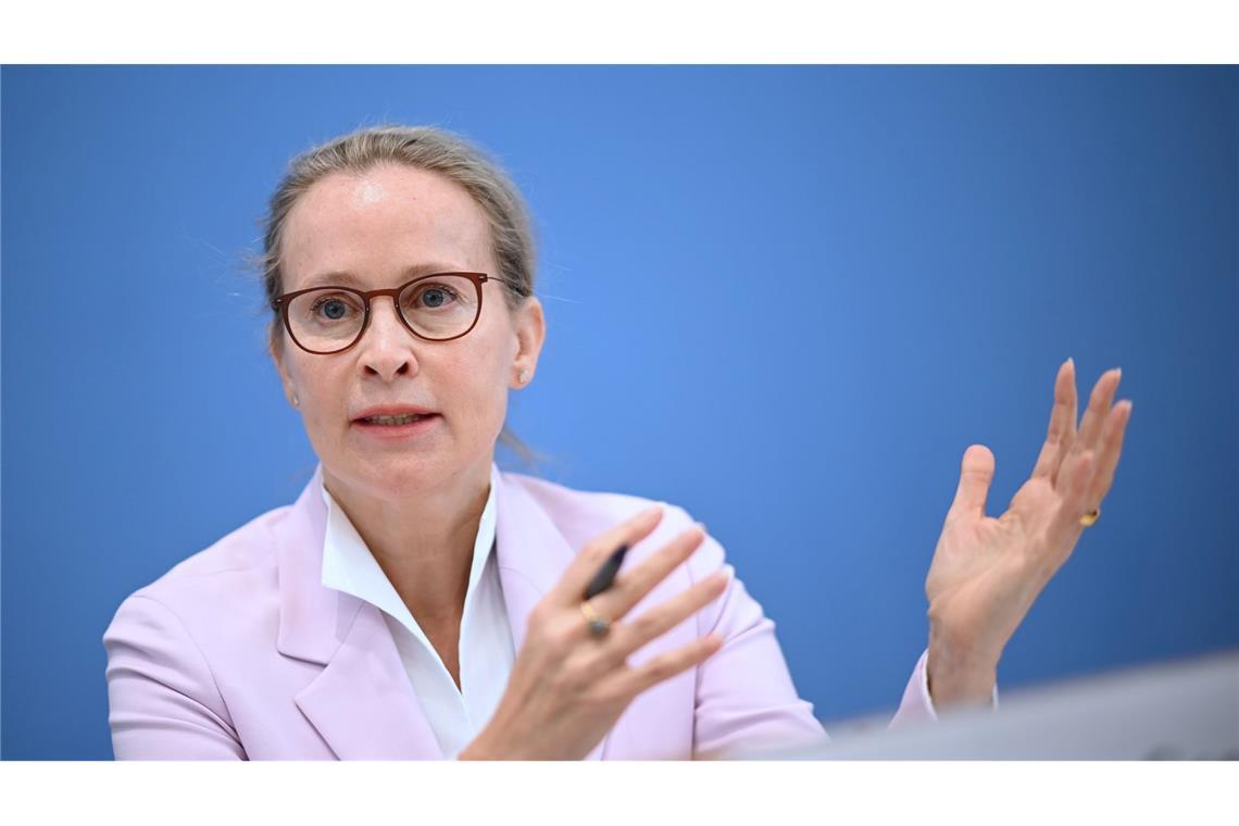 Die Juristin Frauke Brosius-Gersdorf steht nicht mehr für das Amt als Richterin am Bundesverfassungsgericht zur Verfügung. (Archivbild)