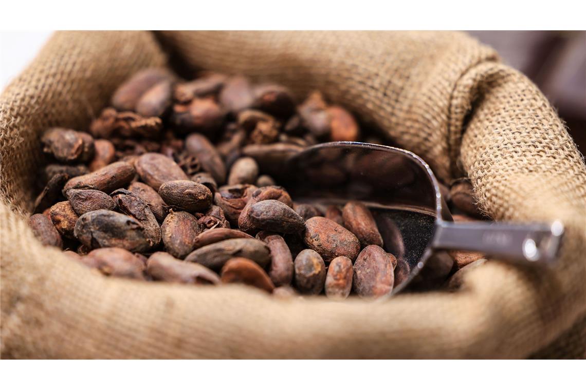Die Kakaopreise sind zuletzt wieder gesunken. (Symbolbild)
