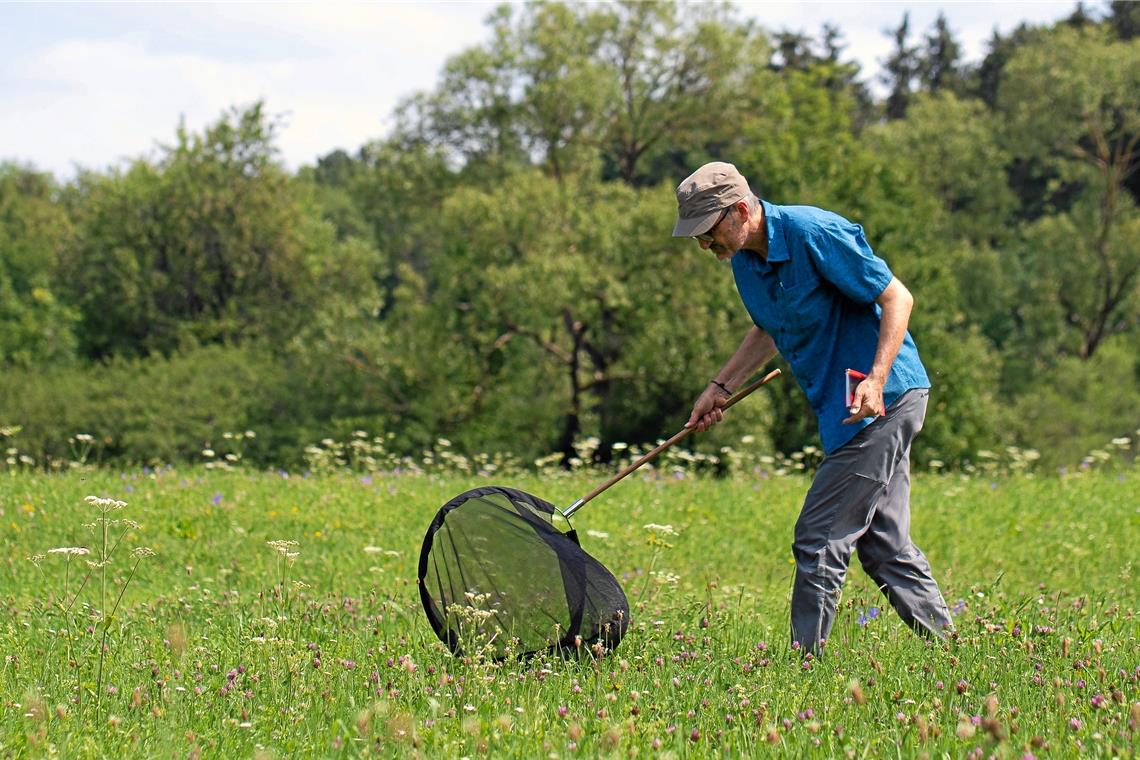 In Murrhardt flattert der Große Fuchs Die Kartierung ist aufwendig, die Experten schreiten das ausgewählte Gebiet in Linien ab. Hier ist Diplom-Biologe Andreas Nunner vom Büro Bioplan in Tübingen bei der Arbeit zu sehen. Foto: privat