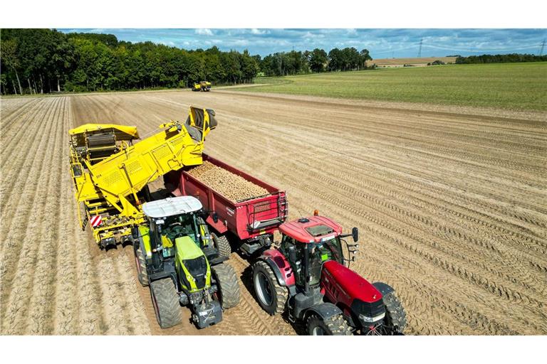 Die Kartoffelbauern haben in diesem Jahr eine sehr gute Ernte eingefahren - es sind sogar zu viele Kartoffeln, die Preise sind relativ schlecht. (Archivfoto)