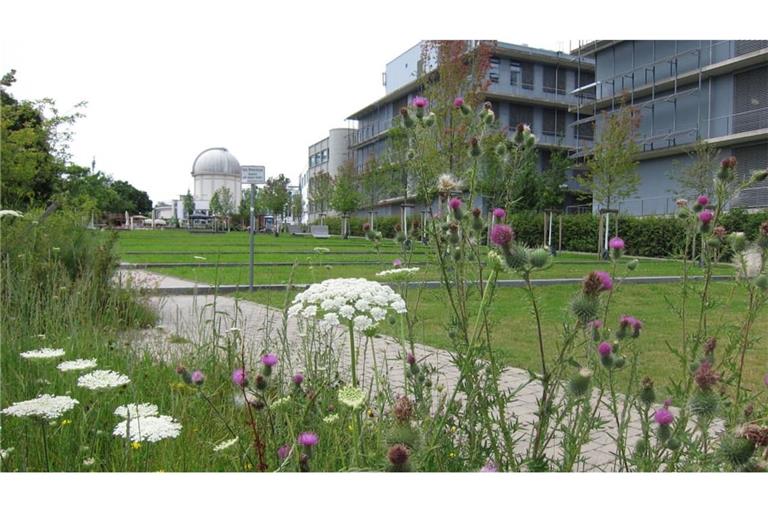 Die Keimzelle des Technologieparks Tübingen-Reutlingen am Standort Tübingen: Sternwarte mit dem Planetenpark und dem Biotechnologiezentrum mit den Mietern Curevac, Immatics und Synovo.