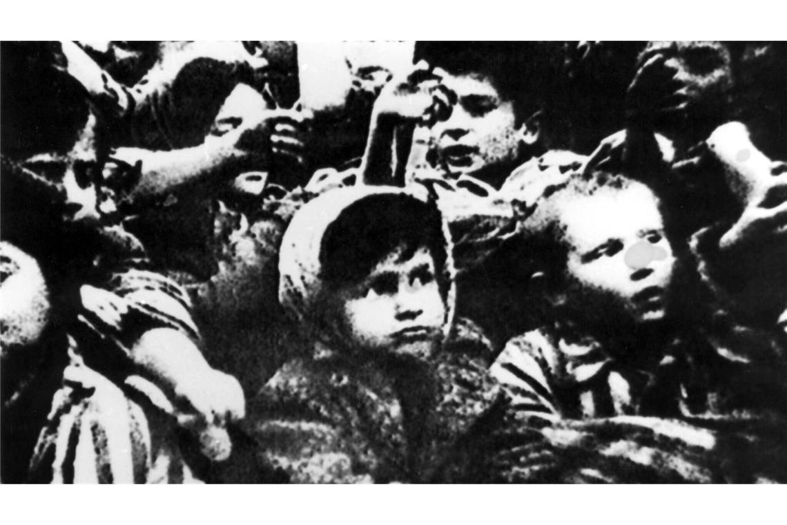 Die Kinder von Auschwitz.