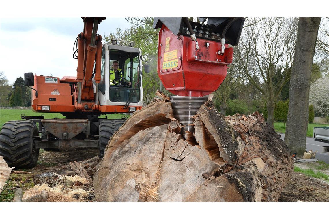 81-Jähriger wird beim Holzspalten verletzt und stirbt Die Kleidung des Mannes verfing sich in dem Kegelspalter. (Symbolbild)