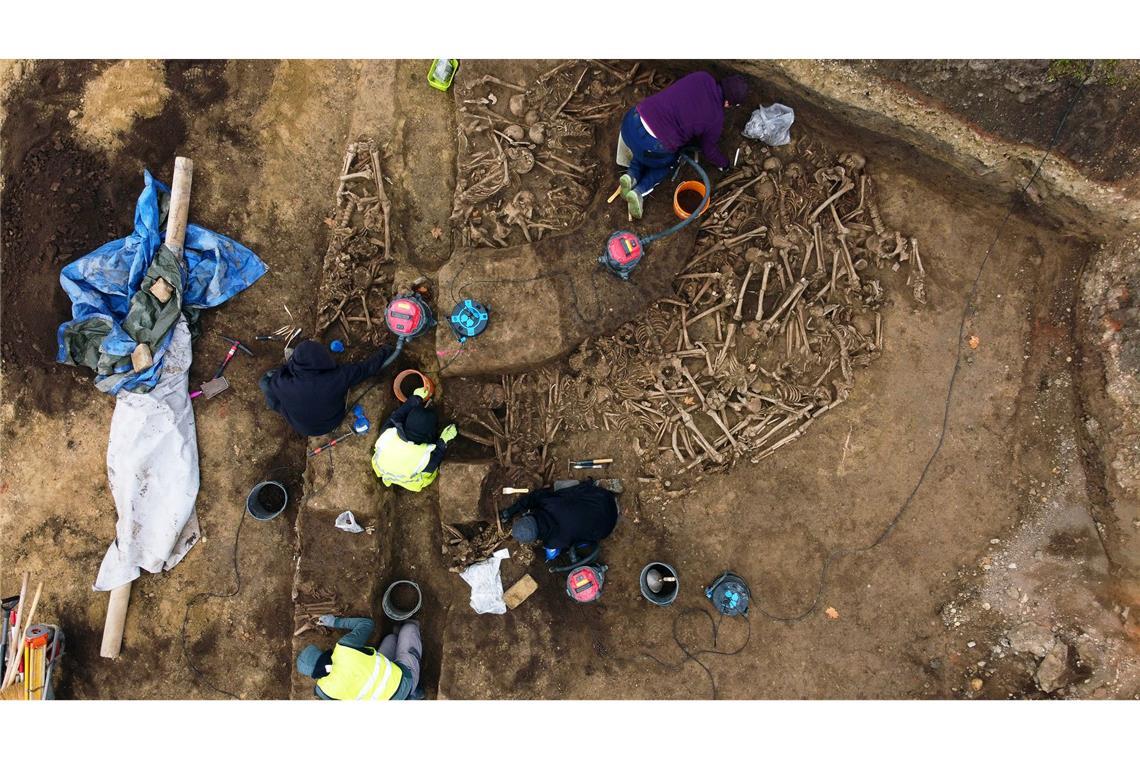 Gemetzel in der Römerzeit - Massengrab in Wien entdeckt Die Knochen kamen bei Arbeiten auf einem Sportplatz ans Licht. (Foto: Handout)