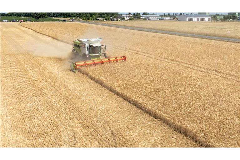 Die Landwirte hoffen nach einem trockenen Frühjahr auf eine durchschnittliche Ernte. (Archivbild)