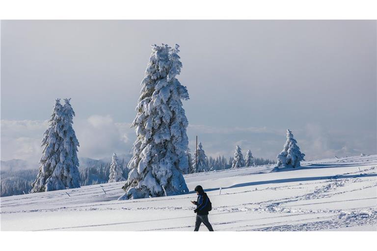 Die Lawinengefahr auf dem Feldberg ist aus Sicht der Bergwacht Schwarzwald gebannt. (Symbolbild)