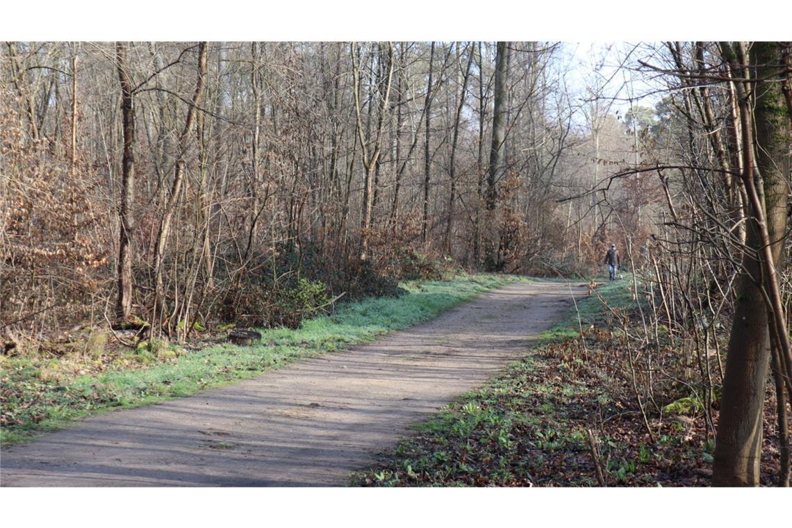 Die Leiche der 19-Jährige war vergangene Woche Mittwoch in einem Naherholungsgebiet bei Mannheim entdeckt worden. (Archivbild)