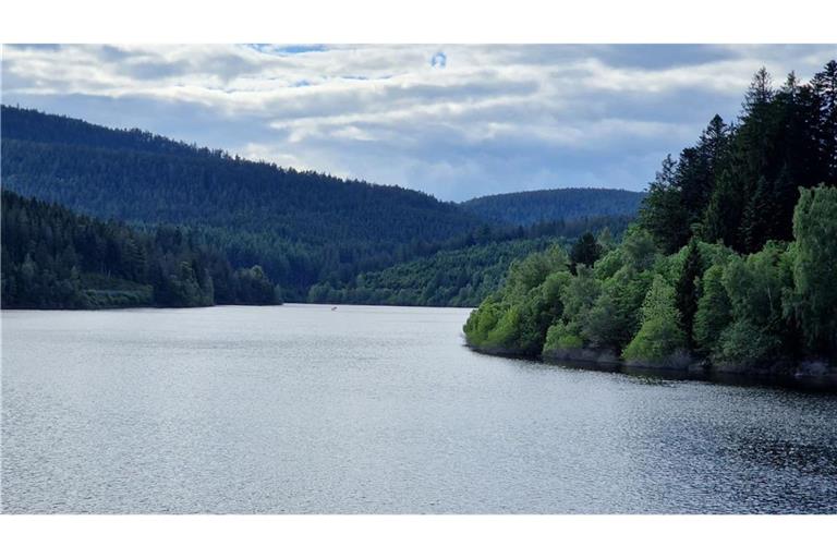 Die Leiche einer Frau haben Passanten in der Schwarzenbachtalsperre bei Forbach entdeckt. (Archivbild)