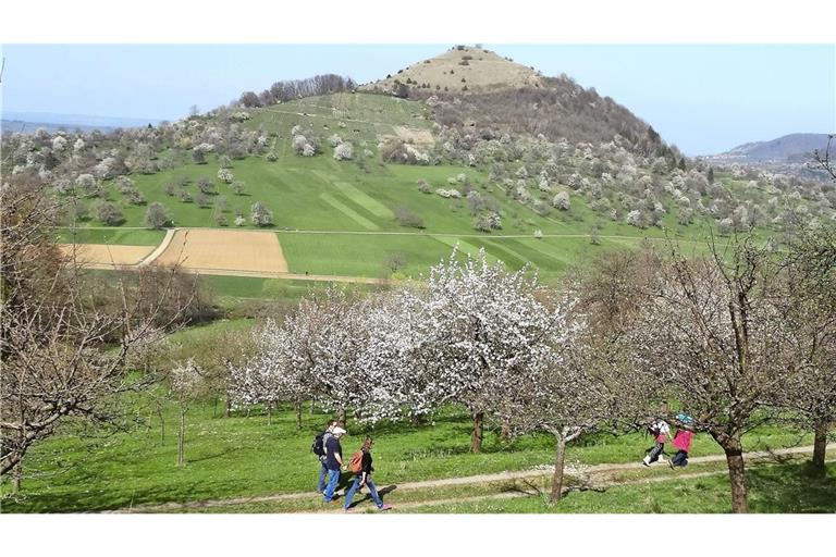 Die Limburg ist der Hausberg von Weilheim/Teck.