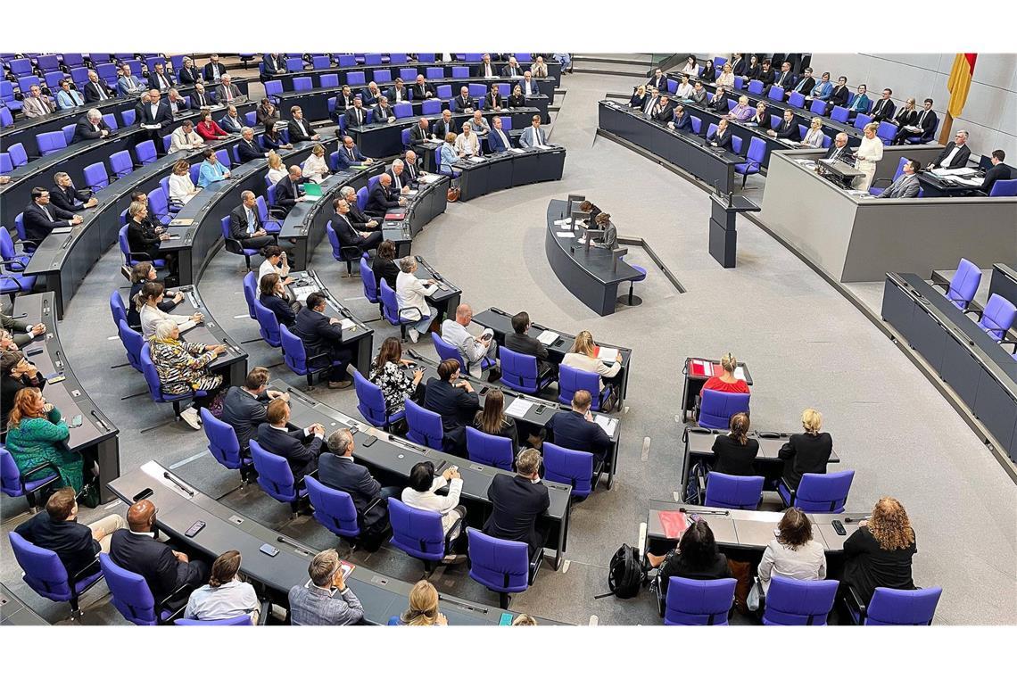 Die Linke fordert eine Sondersitzung des Bundestags (Symbolfoto)